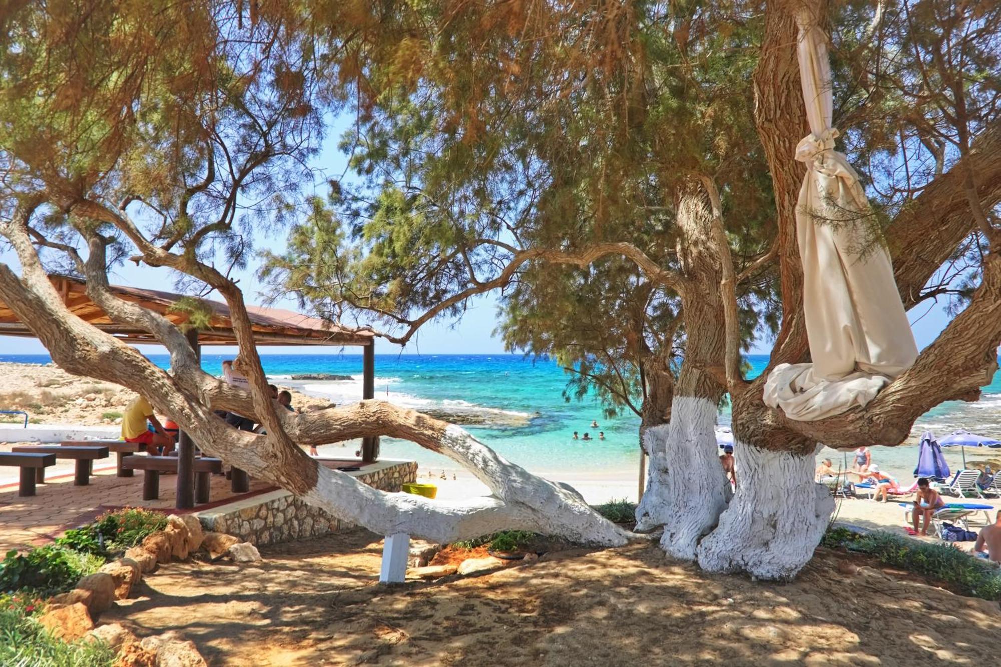 Sea Pearl Beachfront Villas - Breeze アヤナパ エクステリア 写真